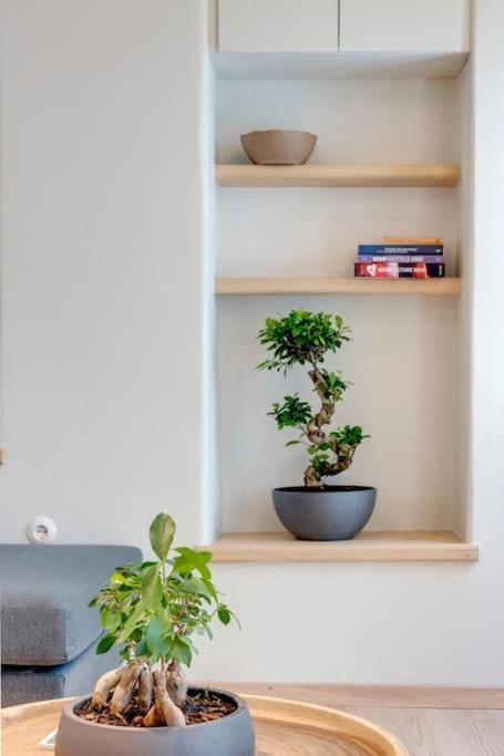 에르무폴리 Nomade Vibrant Living Loft 아파트 외부 사진